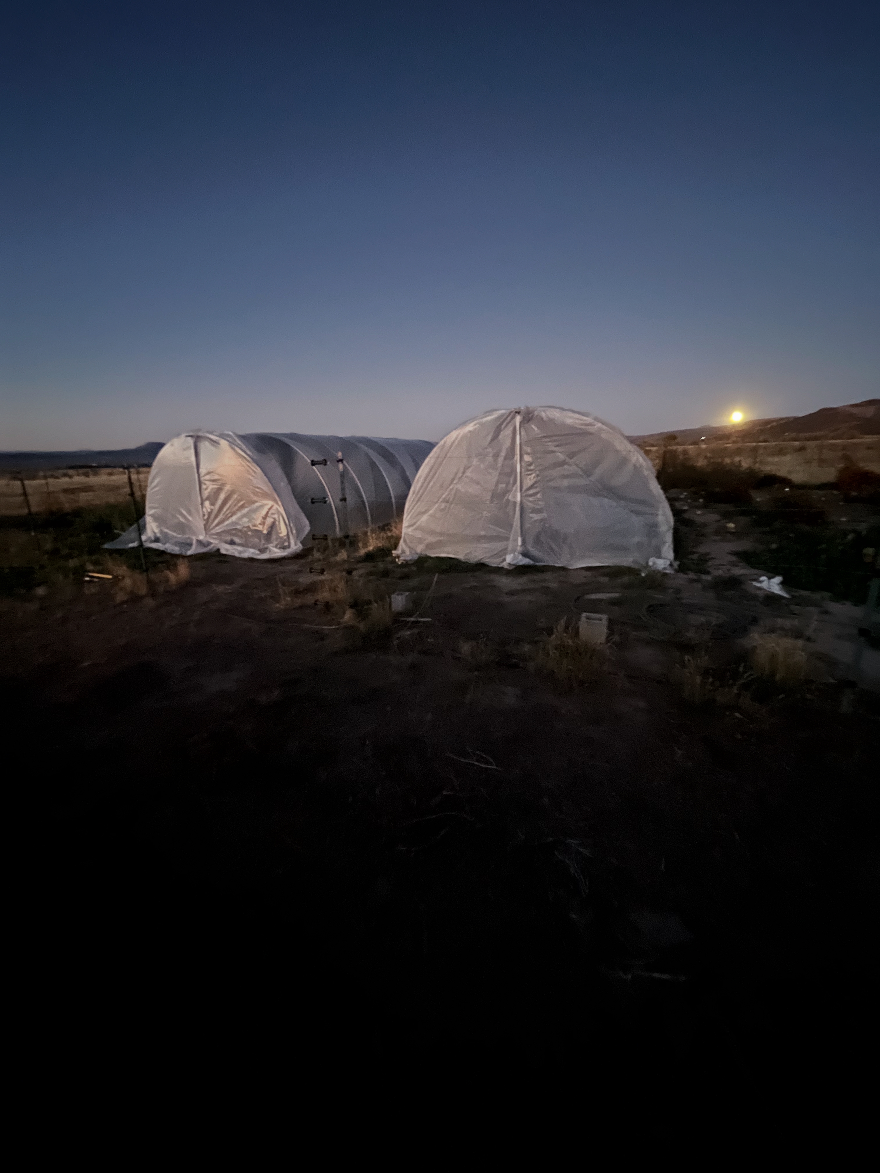 High Tunnel Moon Rise