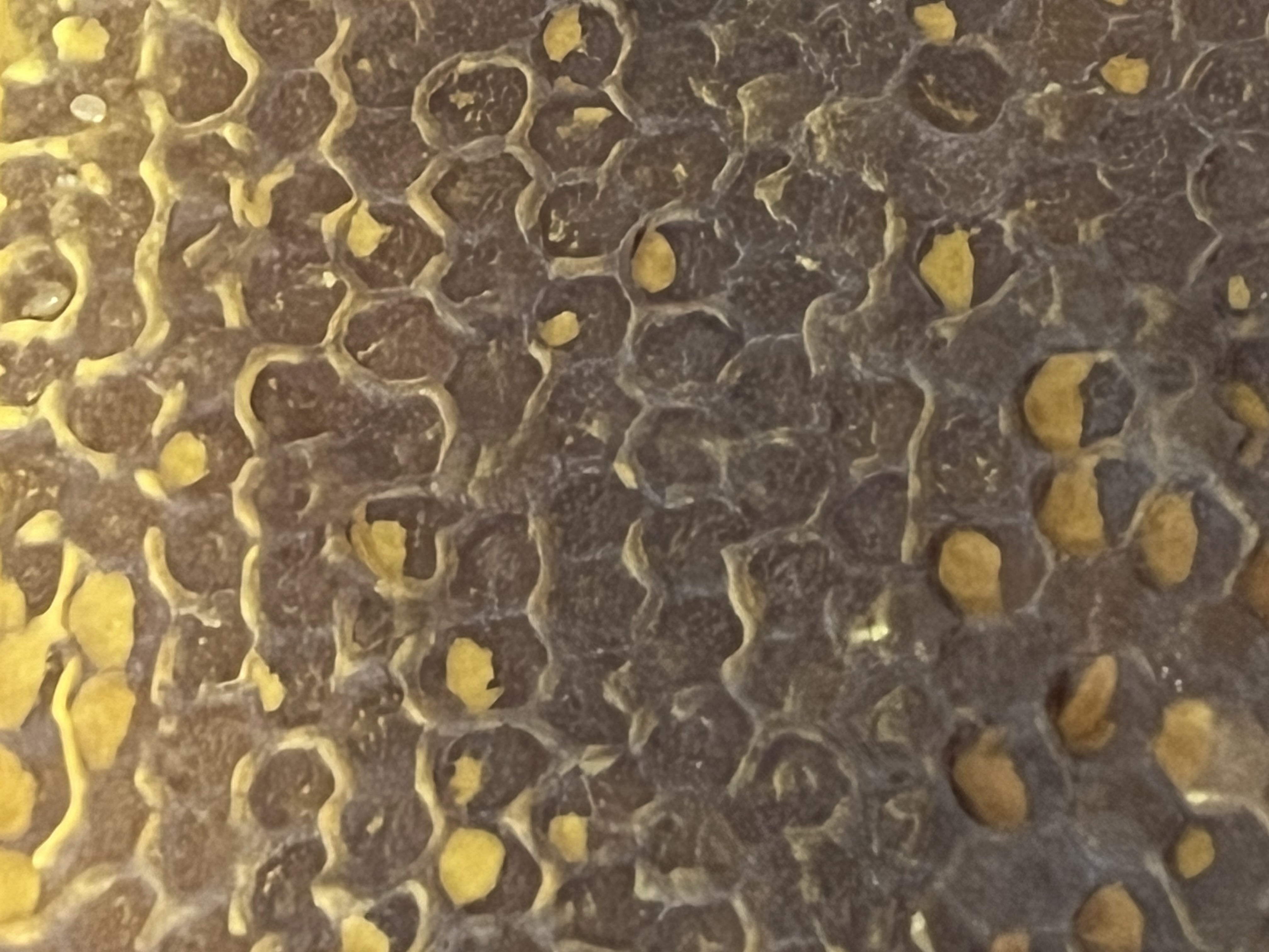 Honeycomb detail