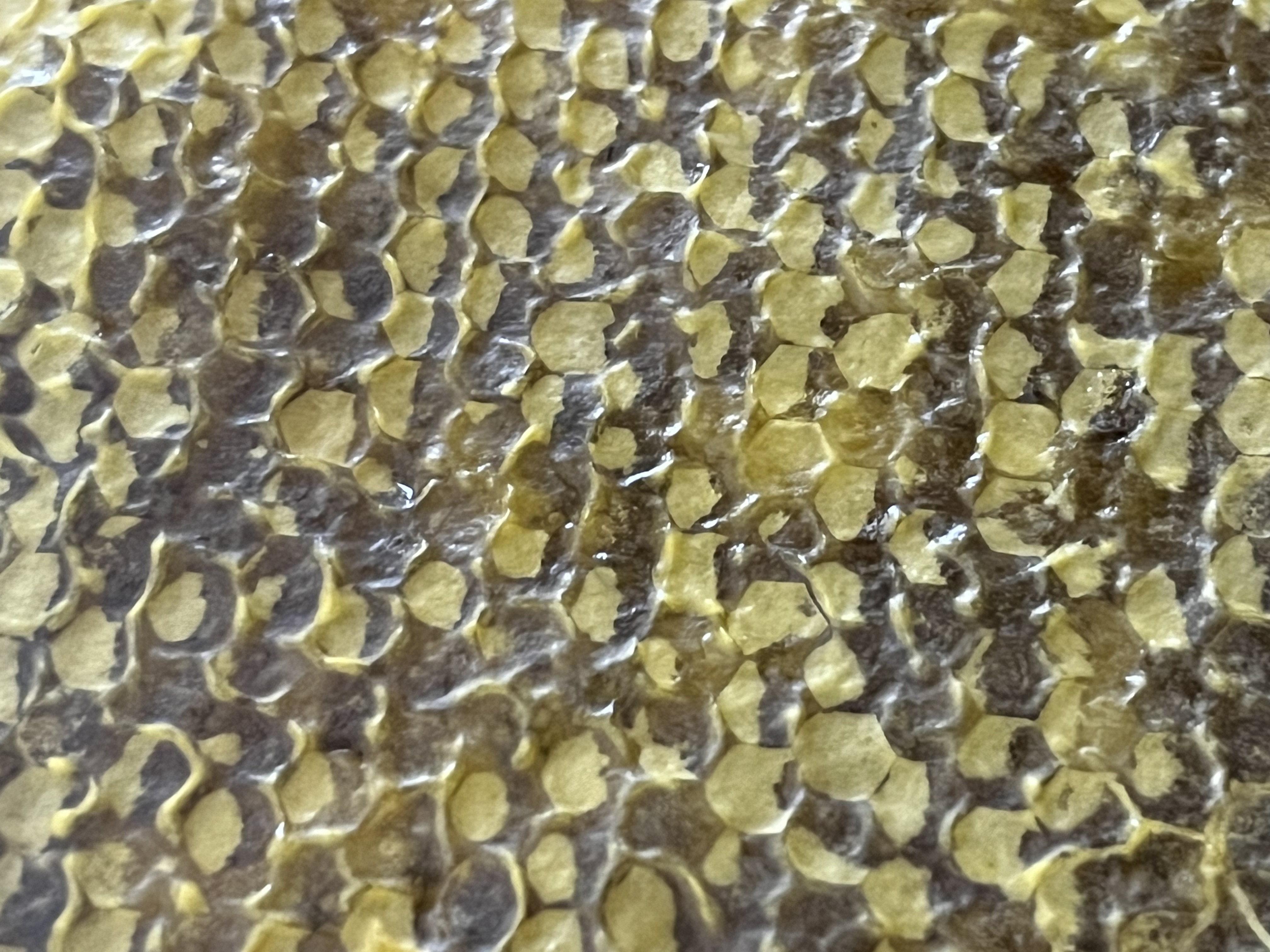 Honeycomb harvest