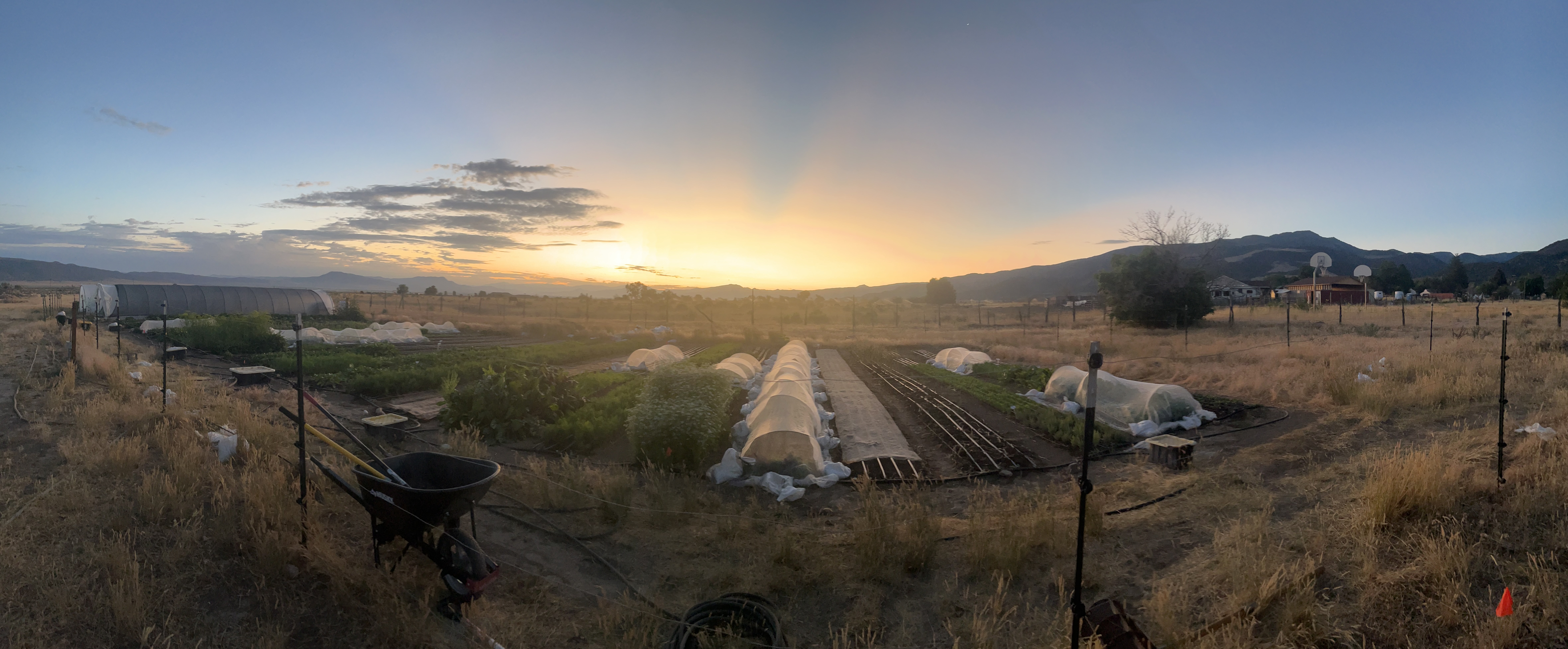 Farm Panorama