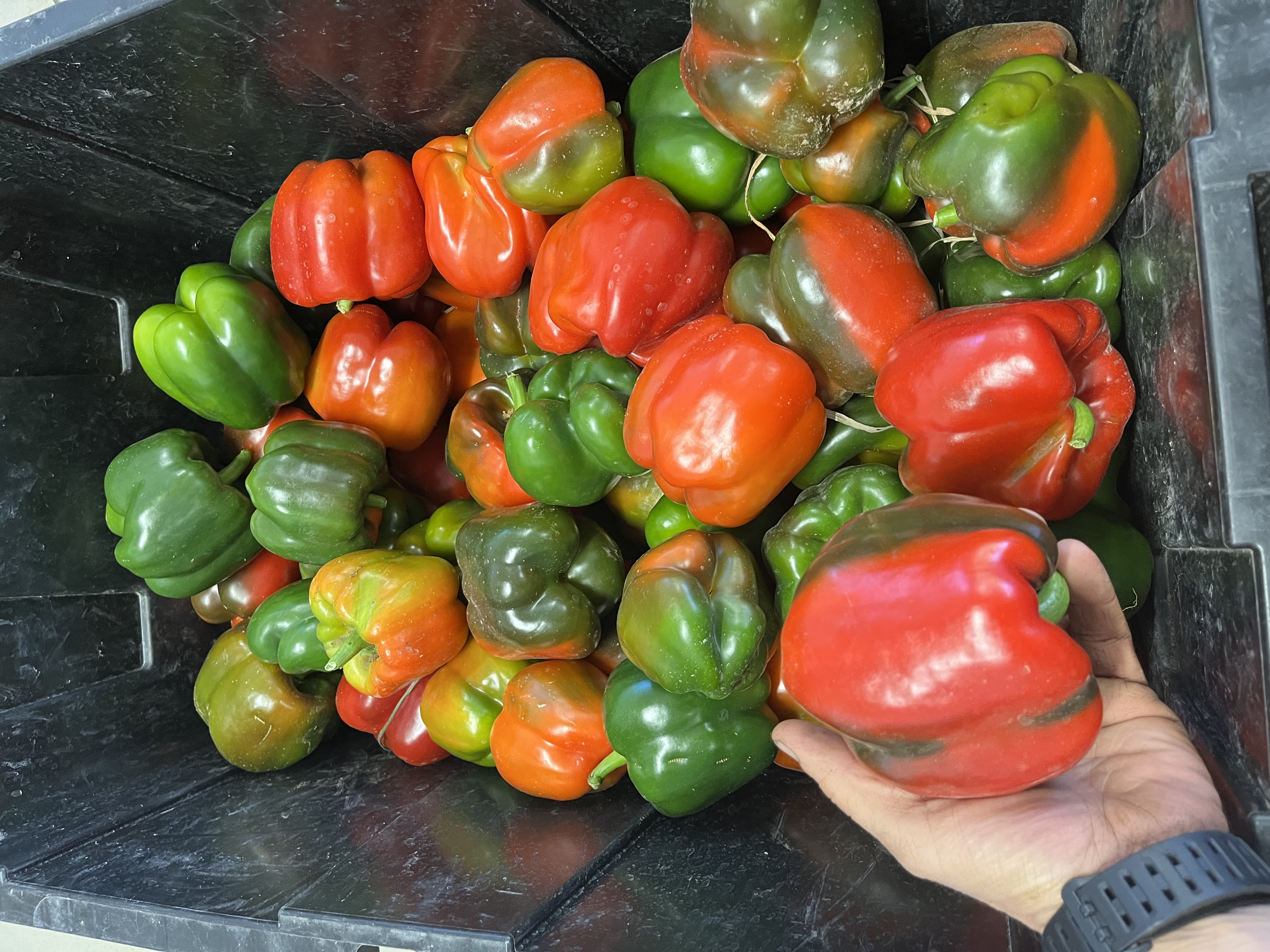 Peppers