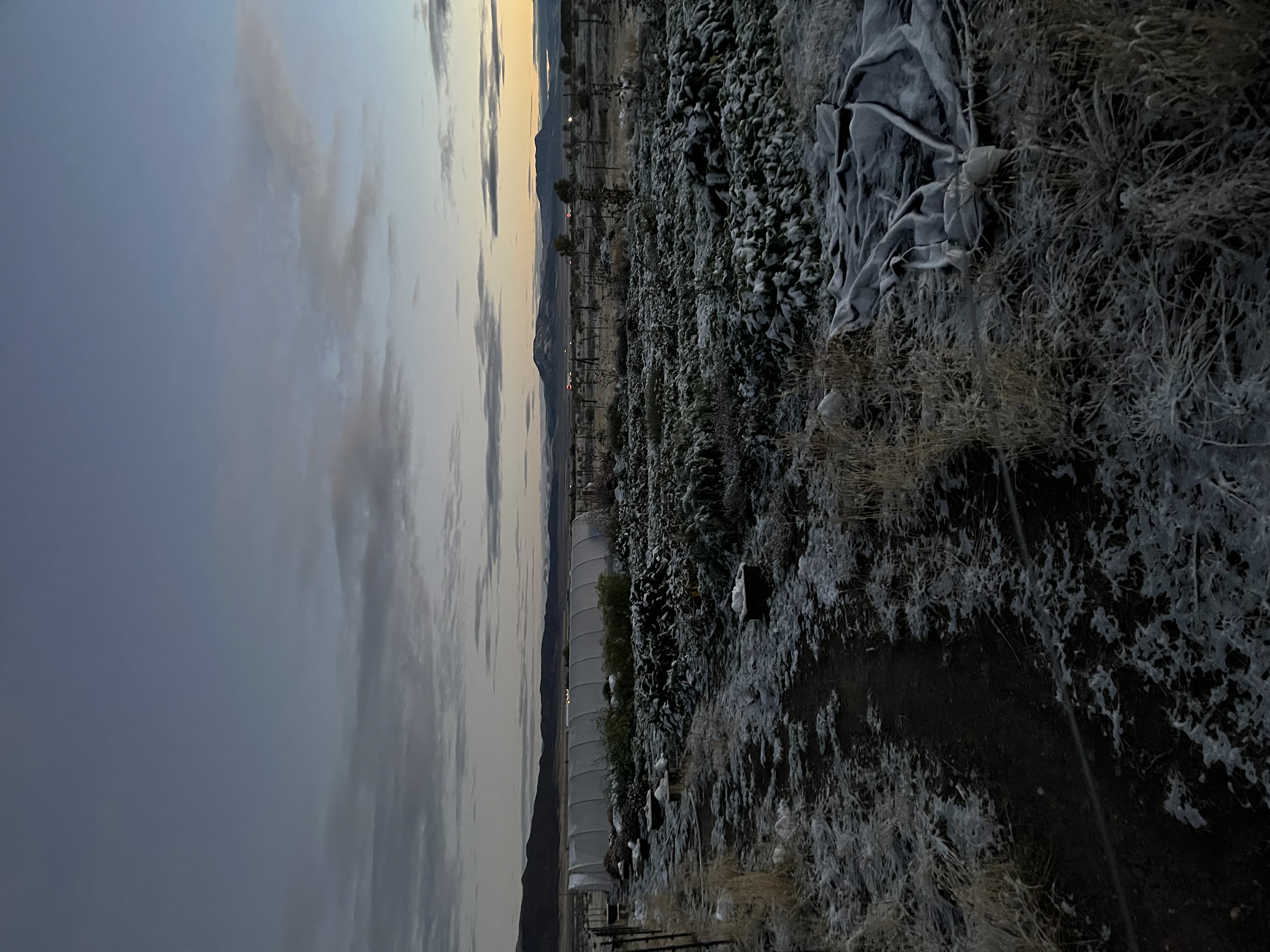 Winter